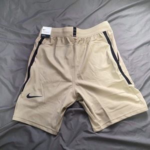 Nike Training Shorts
